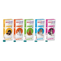Flea & Tick Spot On For Dogs | Bravecto