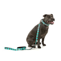 Gor-illz Dog Lead / Leash | FuzzYard