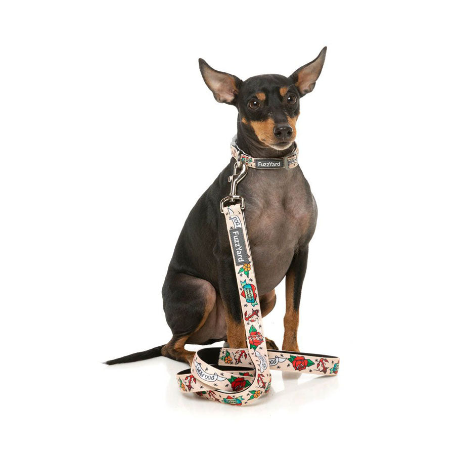 Ink'd Up Dog Lead / Leash | FuzzYard