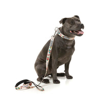 Ink'd Up Dog Lead / Leash | FuzzYard