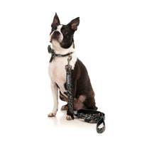 Savanna Dog Lead / Leash | FuzzYard