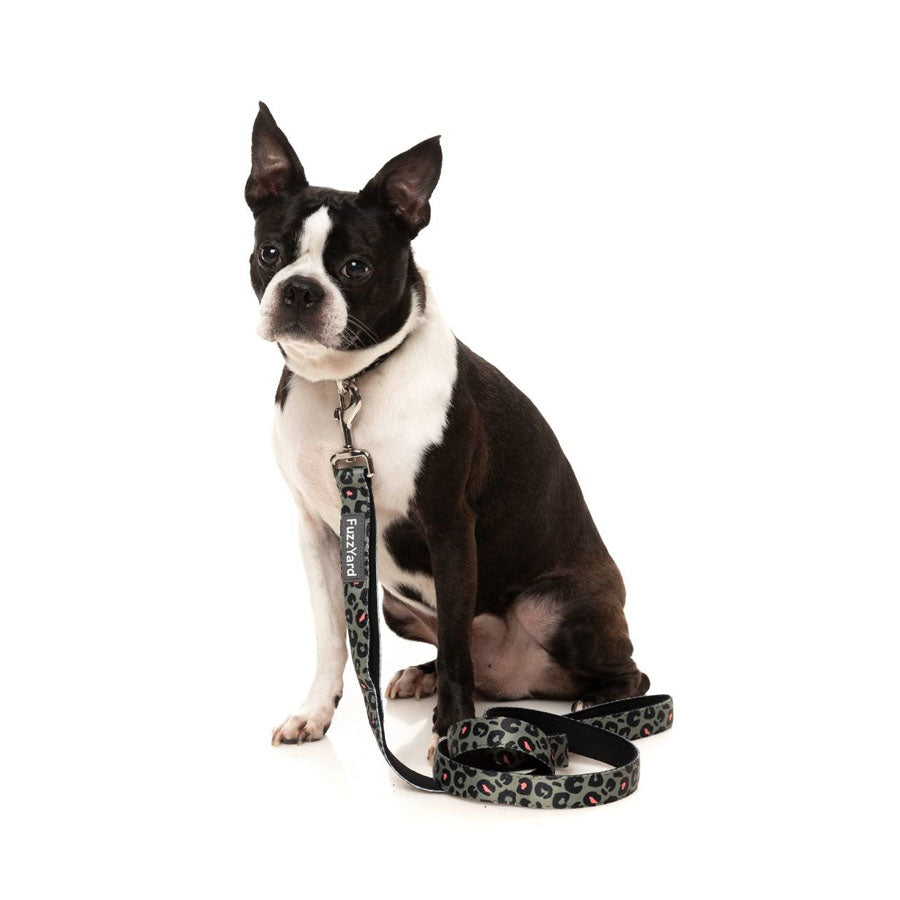Savanna Dog Lead / Leash | FuzzYard