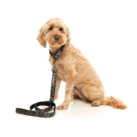 Savanna Dog Lead / Leash | FuzzYard