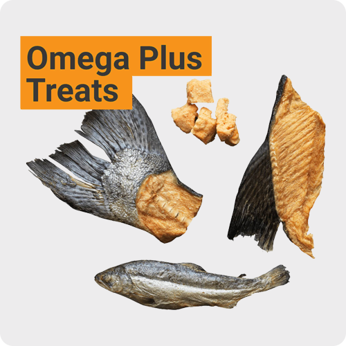 Seafood Fish Dog Treats Link Image