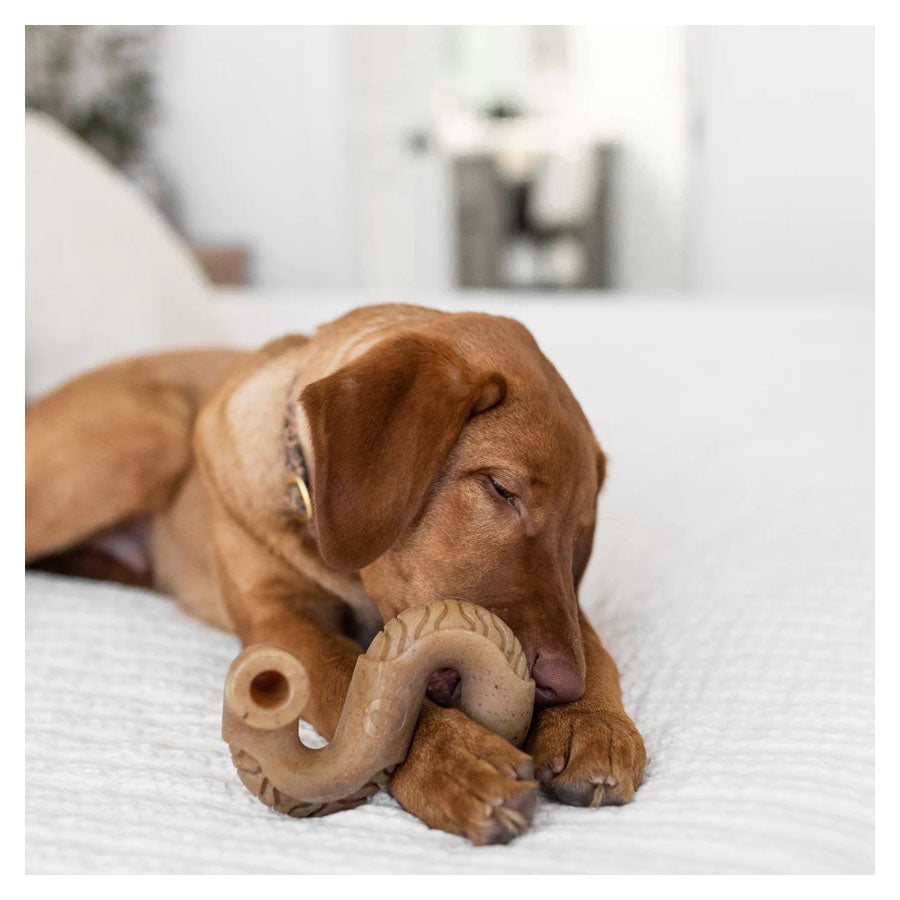 Benebone Tripe Beef Bone Chew Toy