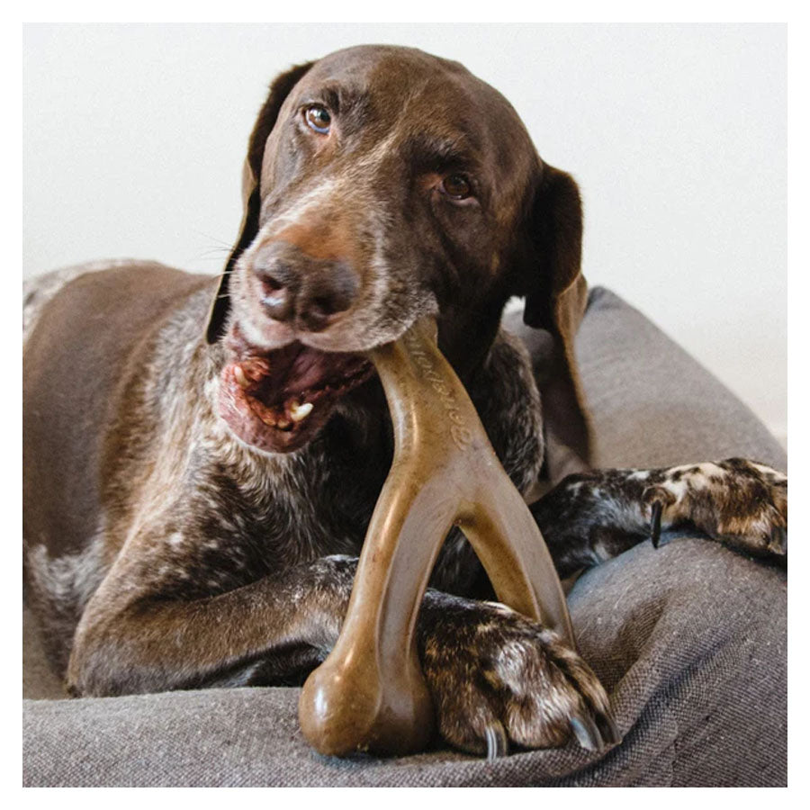 Benebone Wishbone - Bacon