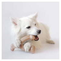 Benebone Wishbone - Bacon