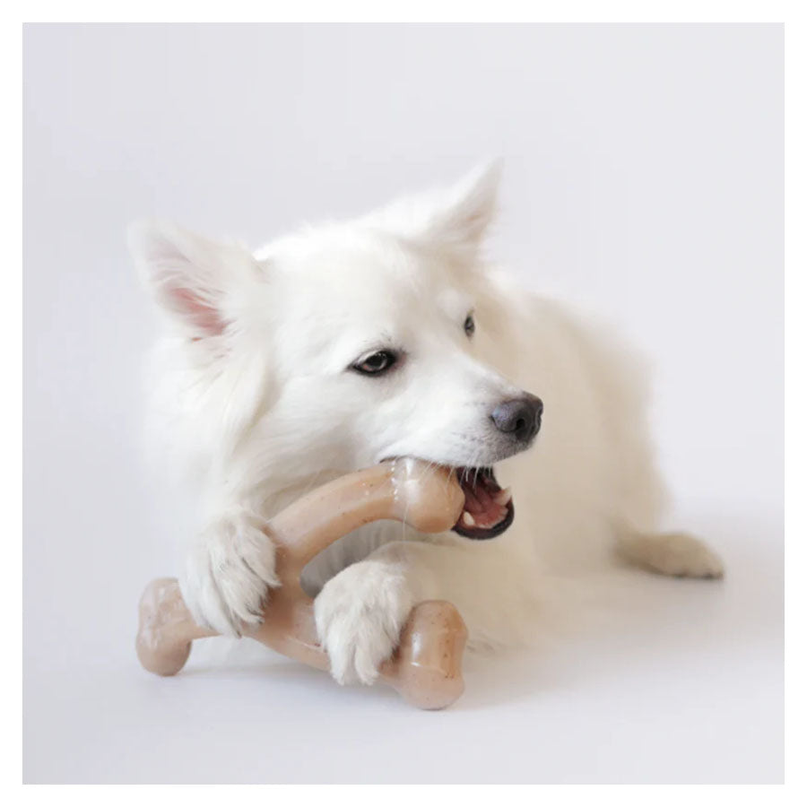 Benebone Wishbone - Bacon