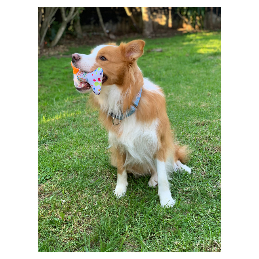 PetBrands Birthday Bone Soft Plush Squeaker Dog Toy 2
