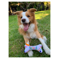 PetBrands Birthday Bone Soft Plush Squeaker Dog Toy 3