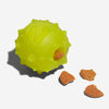 Zee.Dog - Rob the Microbe