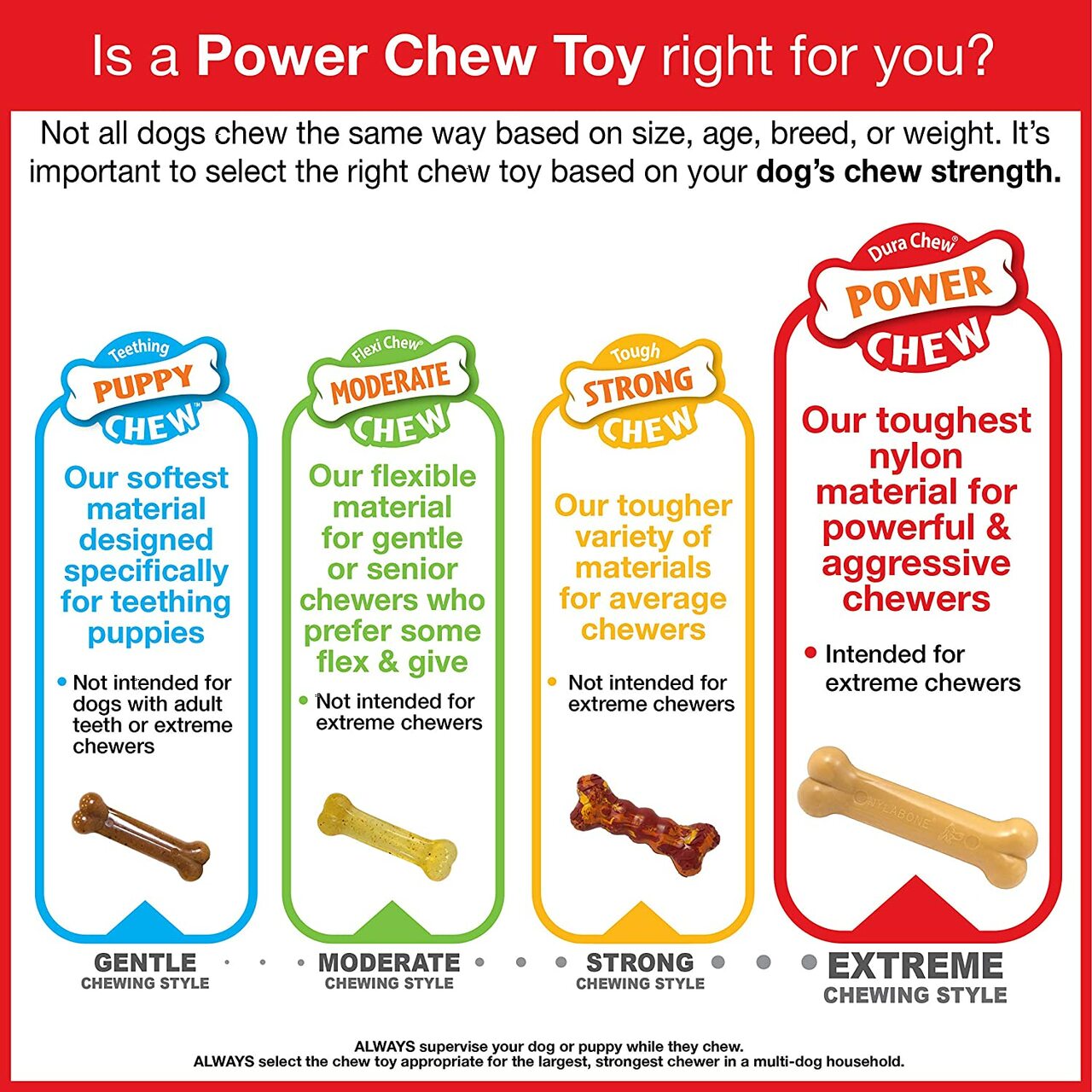 Nylabone - Power Chew Textured Beef Jerky Toy