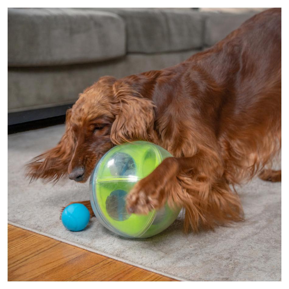 A-Maze Ball Dog Puzzle Treat Dispensing Toy | Outward Hound