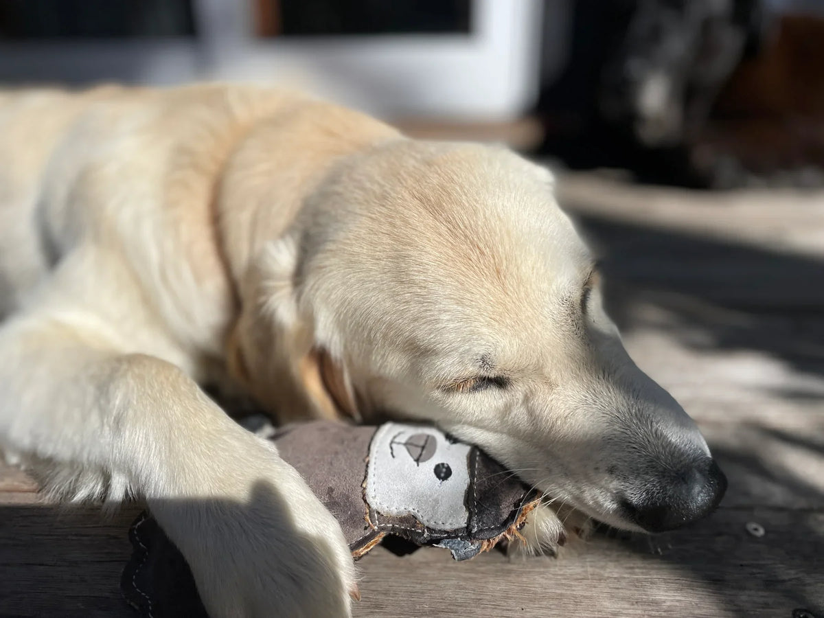 Country Tails Sheep Chew Toy