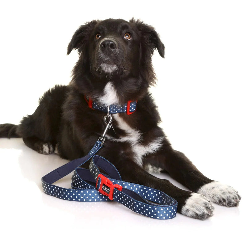 DOOG - Neoprene Dog Collar Stella