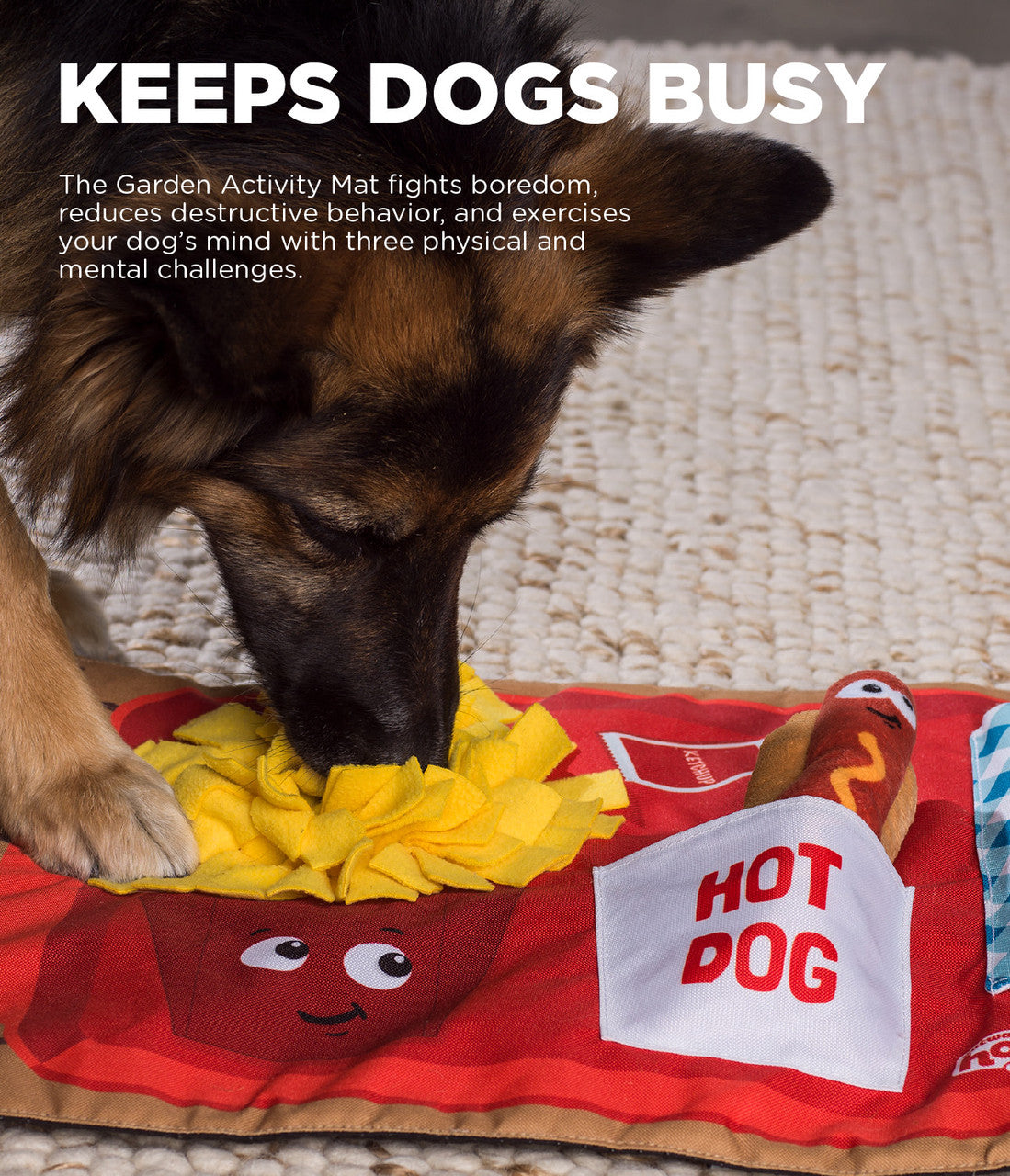 Fast Food Fun Dog Snuffle Puzzle Mat | Outward Hound Activity Matz