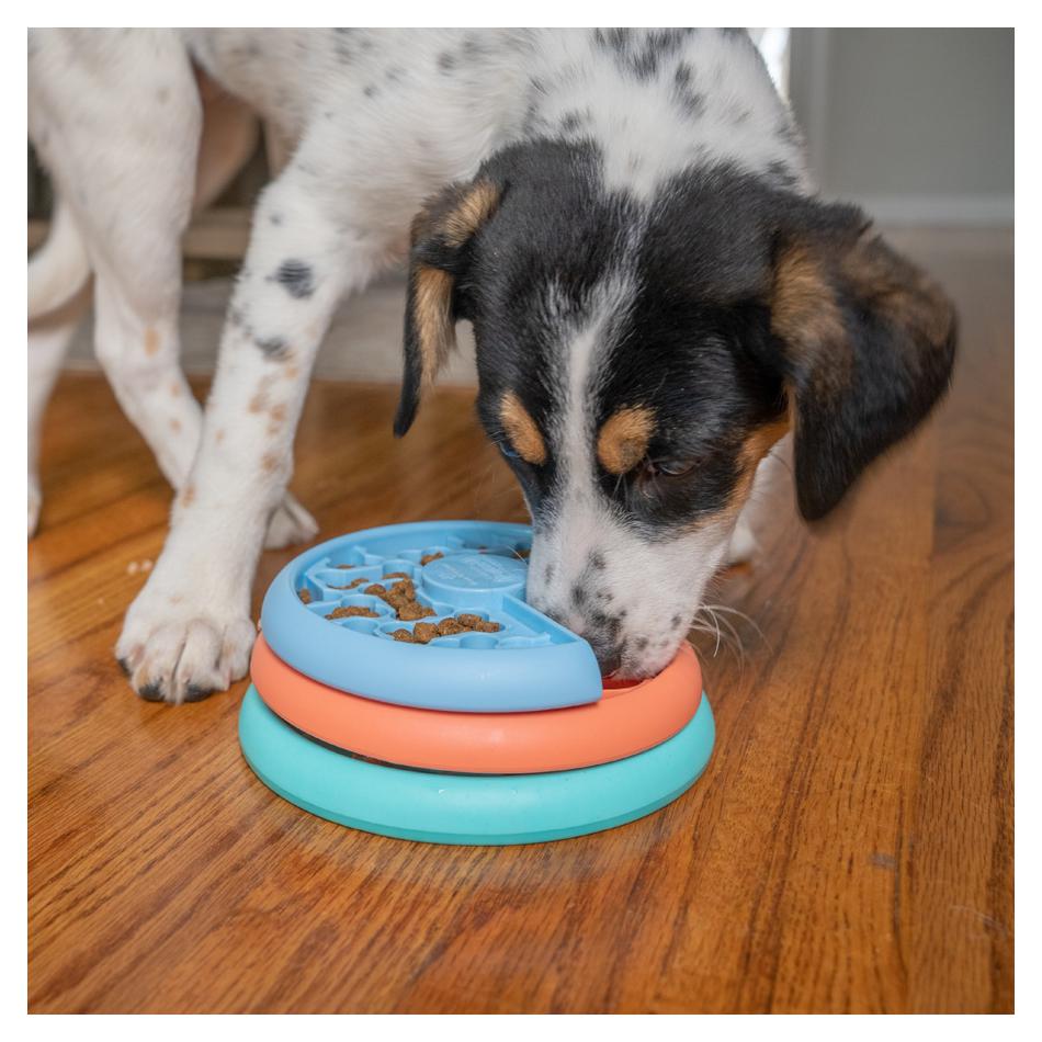 Puppy Lickin' Layers Puzzle Toy | Nina Ottosson