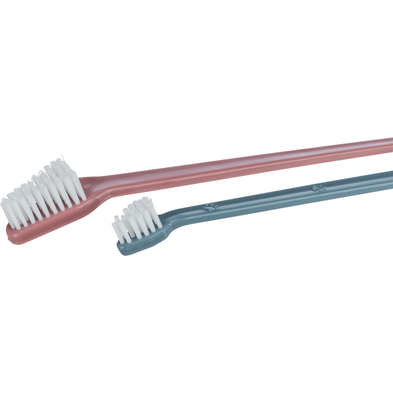 Toothbrush Set 4 Pack | Trixie