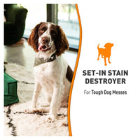 Natures Miracle Set-in Stain Destroyer