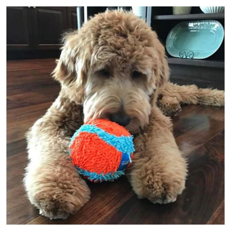 Chuckit! Indoor Ball