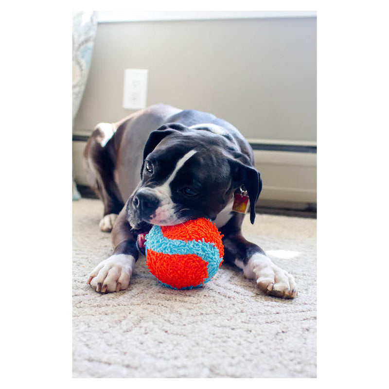 Chuckit! Indoor Ball