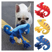 Chameleon Themed Plush Rope Dog Toy