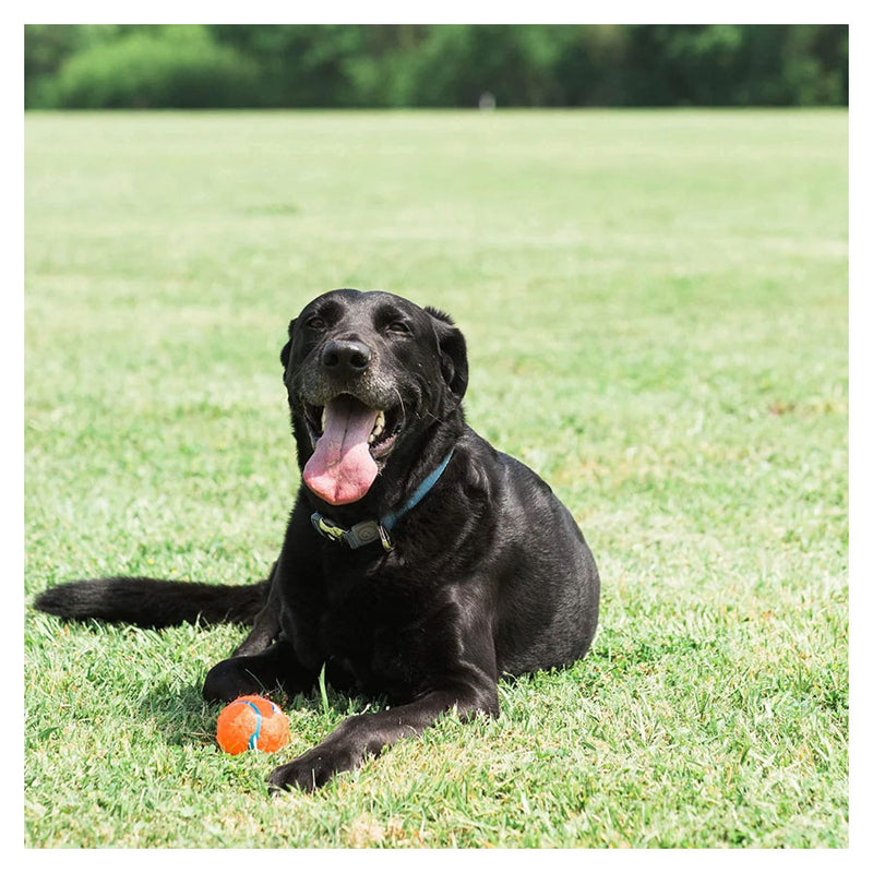 Chuckit! Tennis Ball