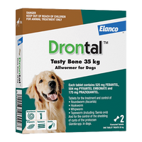 All Wormer for Dogs | Drontal