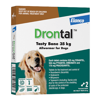 All Wormer for Dogs | Drontal