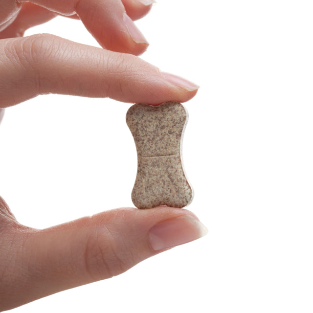 All Wormer for Dogs | Drontal