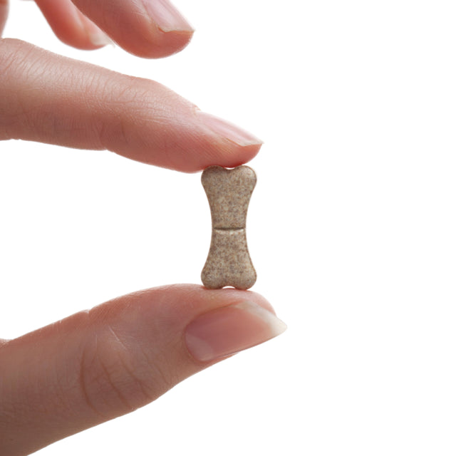 All Wormer for Dogs | Drontal