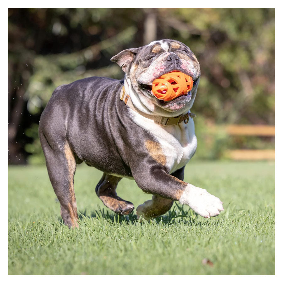 Chuckit! Air Fetch Football