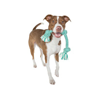 Extra FRESH 3 Knot Tug Rope Dog Toy