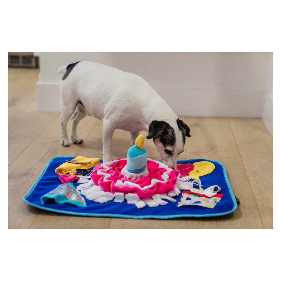 P.L.A.Y. Woof-Day Celebration Snuffle Mat