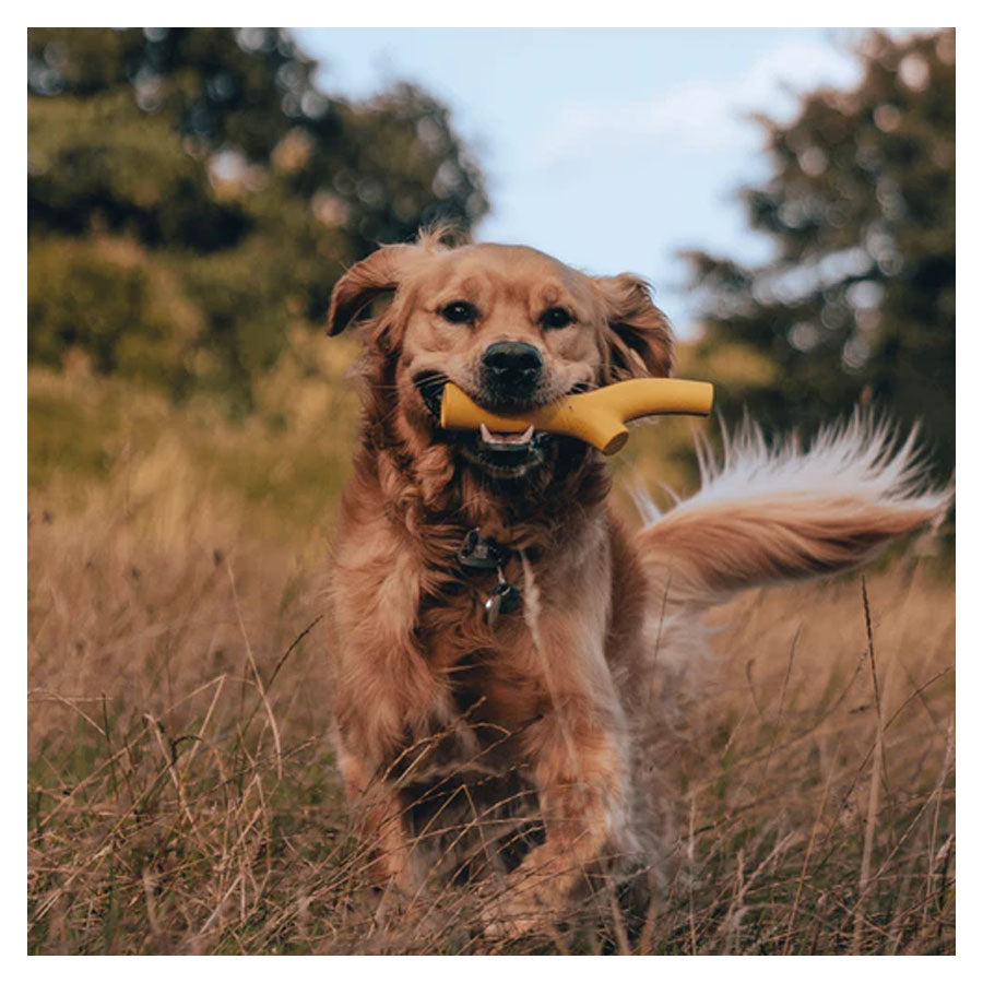 Beco Super Stick - Orange Dog Chew Toy