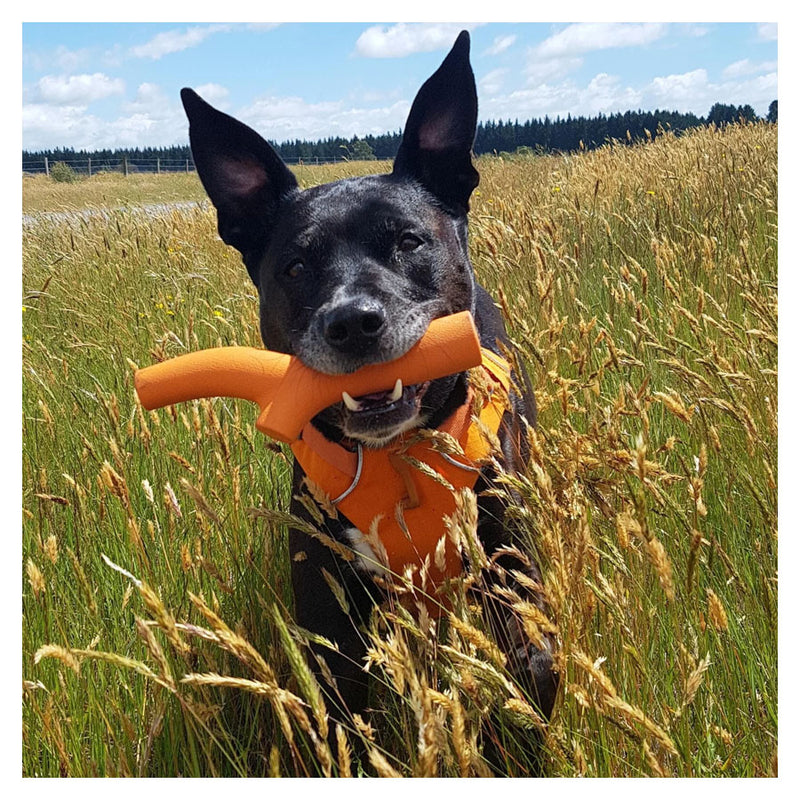 Beco Super Stick - Orange Dog Chew Toy