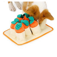 Carrot Garden Dog Snuffle Toy / Mat