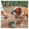 Collapsible Canvas Travel Dog Bowl