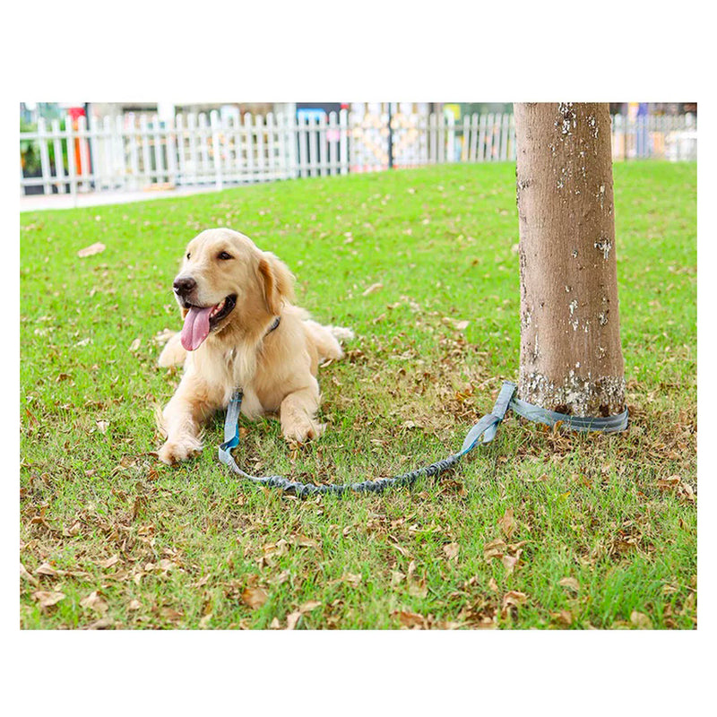 Durable Handsfree Bungee Dog Leash with pouch