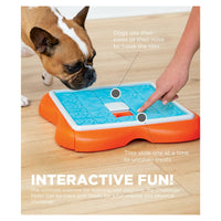 Nina Ottosson Challenge Slider Interactive Treat Puzzle Dog Toy