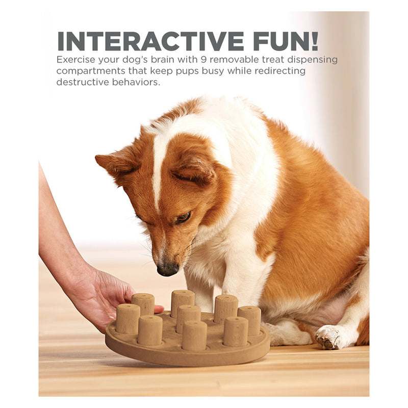 Nina Ottosson Smart Composite Interactive Puzzle Dog Toy