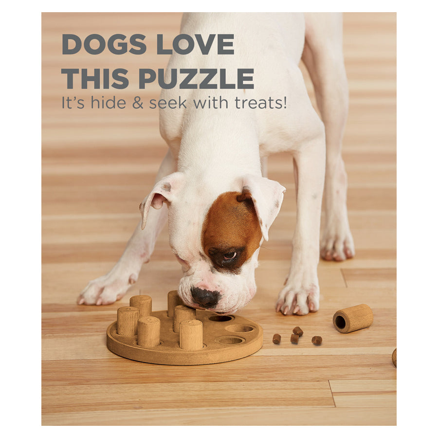 Nina Ottosson Smart Composite Interactive Puzzle Dog Toy