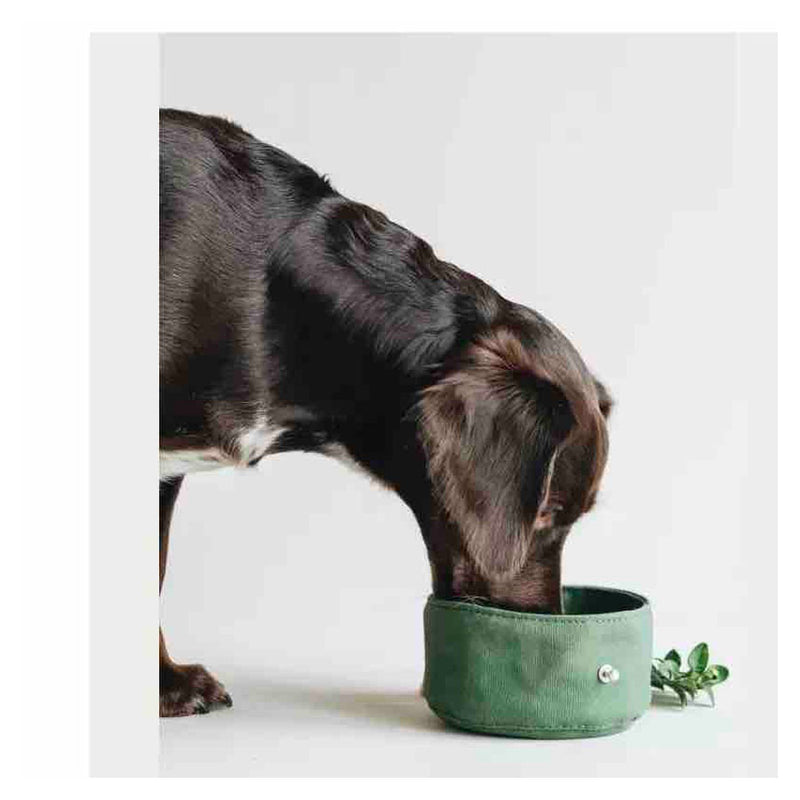 Collapsible Canvas Travel Dog Bowl