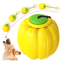 Excite, Throw, and Chase Retractible Pumpkin Dog Chew Toy