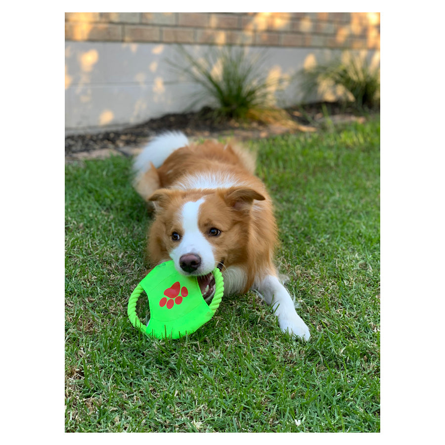 Rope Frisbee - Interactive Fetch Dog Toy
