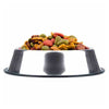 Stainless Steel Dog Bowl with Non-Slip Base