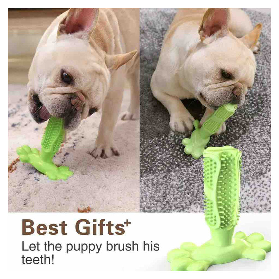 Toothbrush Style Dog Chew Toy – Teddys - Main Image
