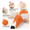Fox Themed Plush Rope Dog Toy
