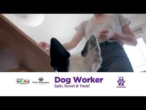 Nina Ottosson Dog Worker Interactive Puzzle Dog Toy