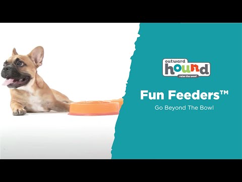 Outward Hound Fun Feeder Interactive Dog Bowl Orange